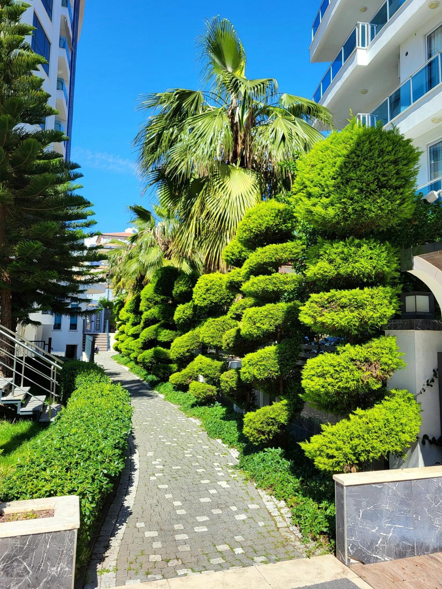 Elite Marine Residence - Cleopatra, Center Alanya Exterior foto